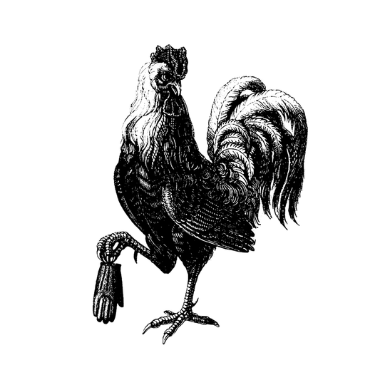 BRAVADO American Pale Ale, 5.8%