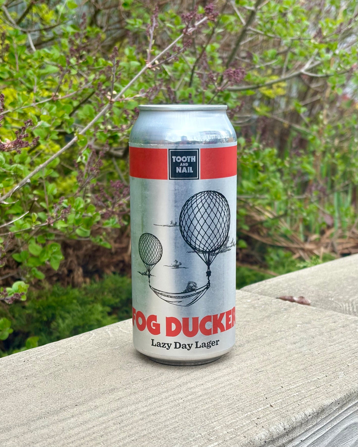 FOG DUCKER Lazy Day Lager, 4%