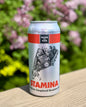 STAMINA Belgian-Inspired Session Ale, 4.5%